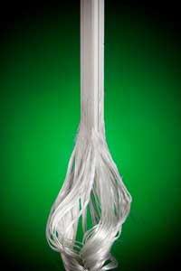 fiberprotrusion200x300