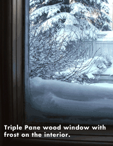 snowywindow220