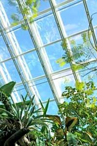 An atrium with SeriousGlas